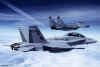 In formation with a US Marines F-18 HORNET.