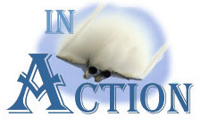 What the MiG is built for: turn and burn and please the crowd!