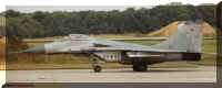 2902n.jpg (46056 Byte)