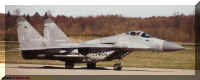2904n.jpg (45249 Byte)