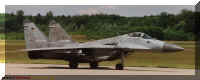 2905n.jpg (42903 Byte)