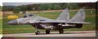 2907n.jpg (49746 Byte)