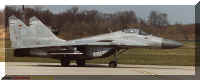 2917n.jpg (43811 Byte)