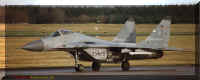 2919n.jpg (46161 Byte)