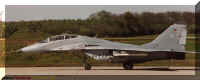2923n.jpg (44435 Byte)