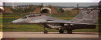 2925n.jpg (43795 Byte)