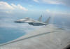 �ber die riesige Fl�gelfl�che einer F-14 TOMCAT fotografiert!