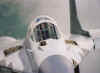 Eine Detailaufnahme des MiG Piloten (... zufllig der webmaster)